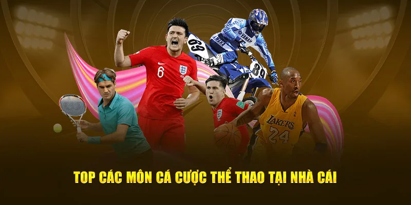 Top các môn cá cược thể thao tại nhà cái